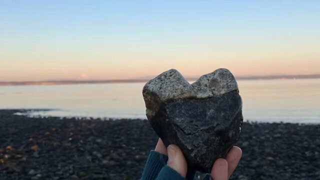 Screenshot-2025-04-10-at-12.00.25 PM-1